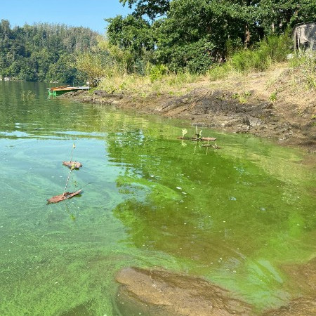 [117086850-968536153597384-7480744410750279859-n.jpeg]