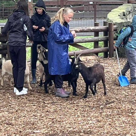 [1bbadd99-71ae-4bd0-8876-127686240abe.jpeg]