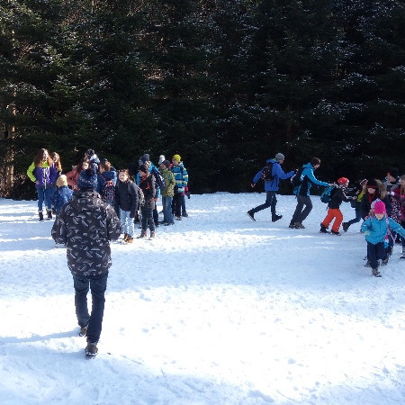 [img-20180204-121335.jpeg]