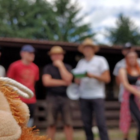 [img-20210809-151212-hdr.jpeg]