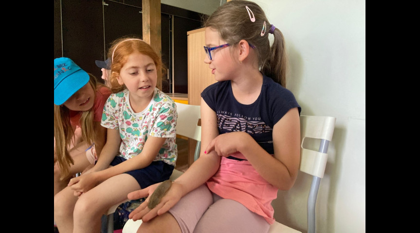 Příměstský tábor v zoo 1 2026