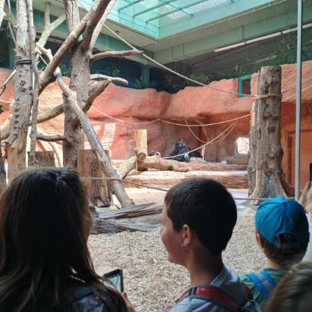 [inbound3250629614382291665.jpeg]