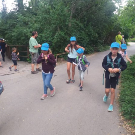 [299138290-511120844029828-7210257064771794623-n.jpeg]