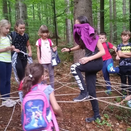 [68385366-756316791466557-5718015477289058304-n.jpeg]