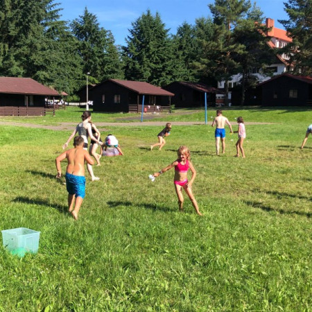 [208784016-485129359451995-1751290555638563729-n.jpeg]