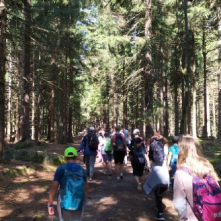 [img-20210803-103533.jpeg]