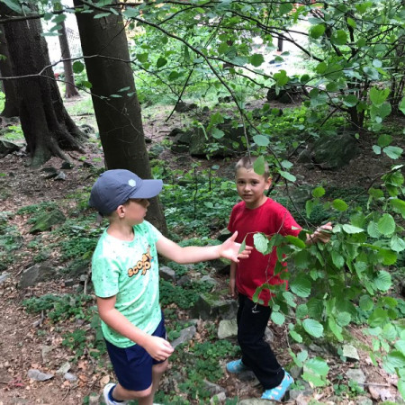 [img-20210723-wa0066.jpeg]