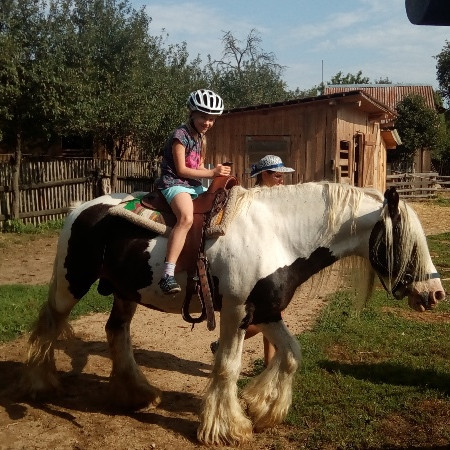 [img-20170803-094052.jpeg]