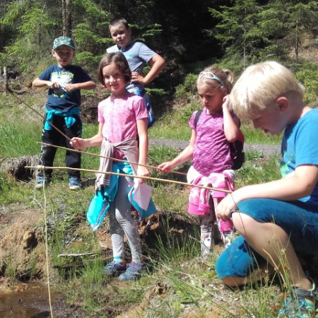 [20170717-153818.jpeg]