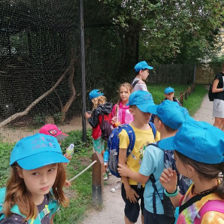 [img-20220815-164925.jpeg]