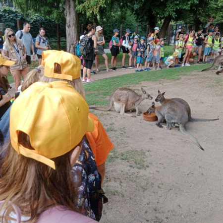 [img-20230821-wa0024.jpeg]