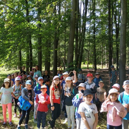 [img-20200704-110855.jpeg]