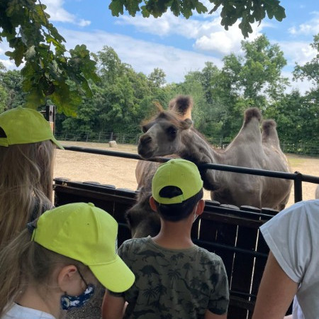 [img-20210723-wa0013.jpeg]