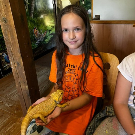 [img-20240712-wa0054.jpeg]