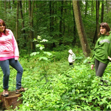 [img-7031-resize.jpeg]