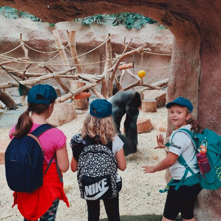 [img20220712112725.jpeg]