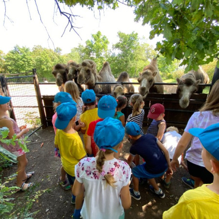 [ac4d6c15-0af3-422e-83ed-8fe47b8d35ab.jpeg]