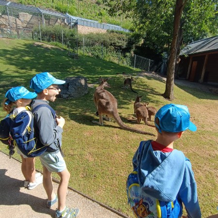 [img-20240729-wa0065.jpeg]