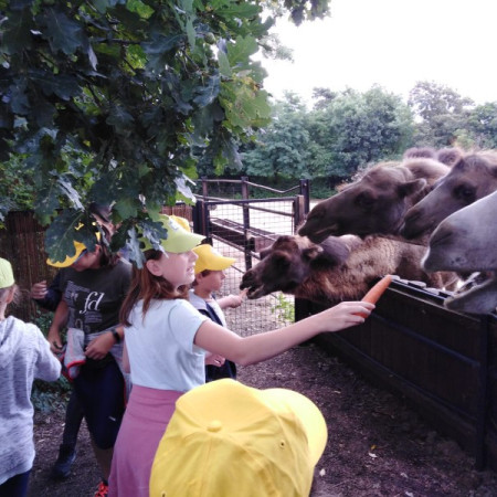 [img-20210807-wa0042.jpeg]