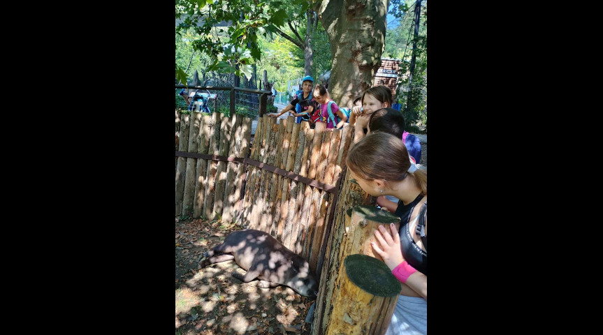 Příměstský tábor v zoo 1 2026