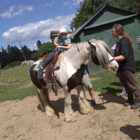 [img-20170703-152004.jpeg]