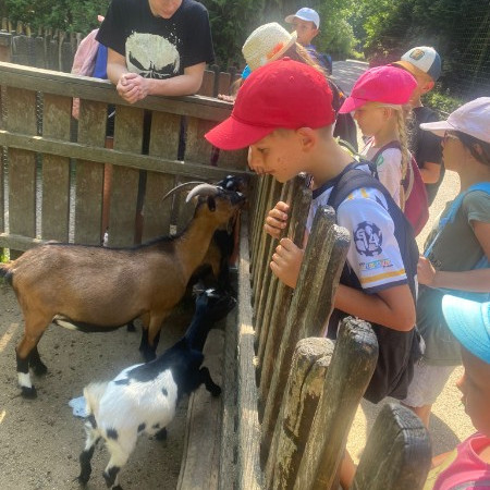 [img-20240731-wa0022.jpeg]