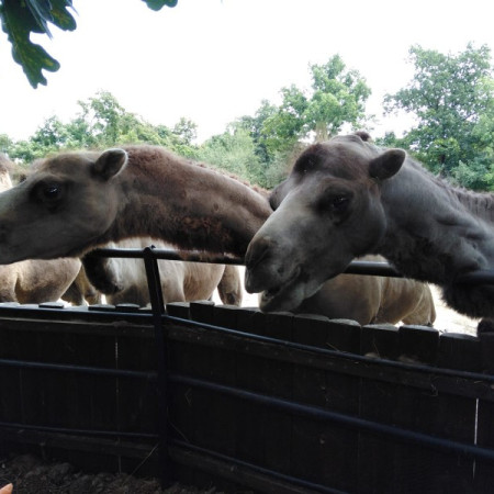 [img-20210726-wa0064.jpeg]