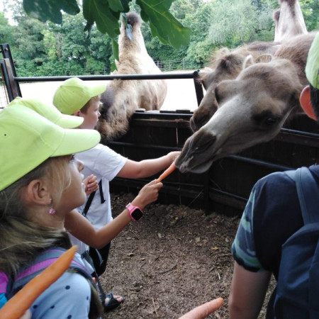 [img-20210726-wa0003.jpeg]