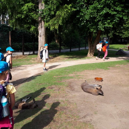 [received-1207969326551467.jpeg]