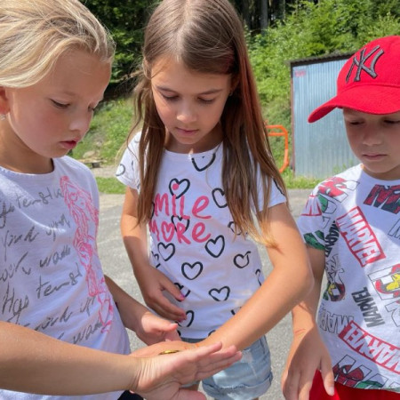 [img-20230719-wa0071.jpeg]