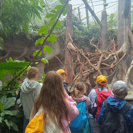 [img-20250708-120524.jpeg]