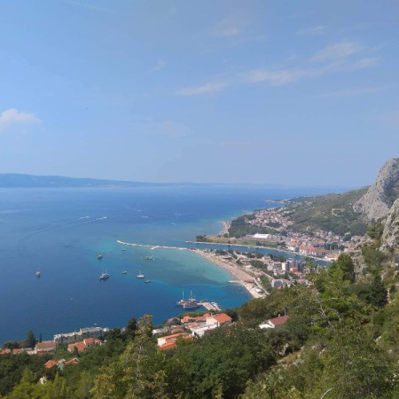 [received-264000294217808.jpeg]