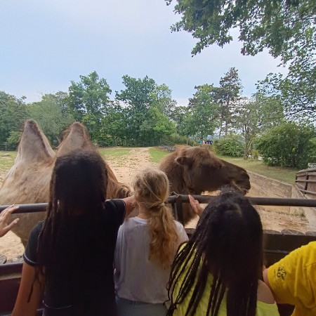 [img-20240710-133015.jpeg]