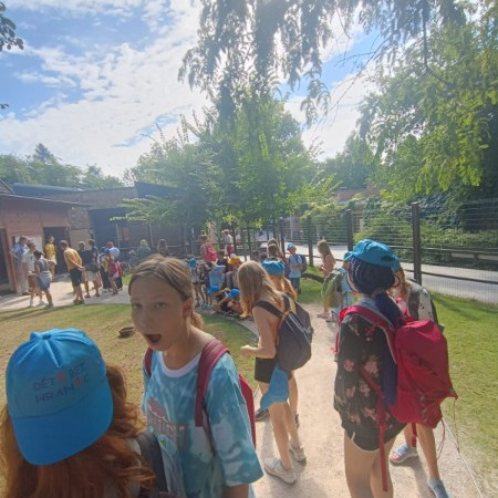 [img-20240823-wa0182.jpeg]