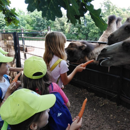 [img-20210726-wa0059.jpeg]