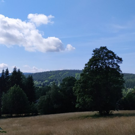 [img-20210803-102753.jpeg]