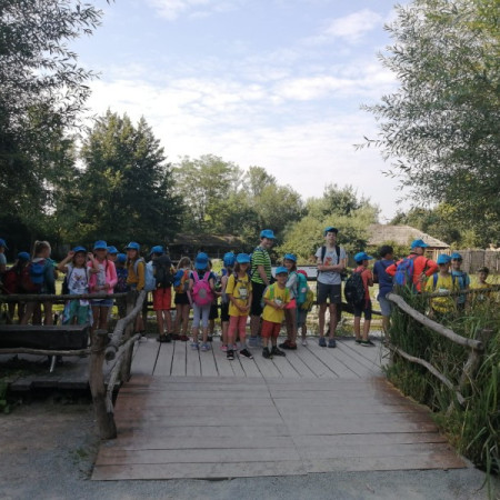 [img-20220815-wa0012.jpeg]