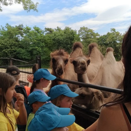 [img-20220714-wa0054.jpeg]