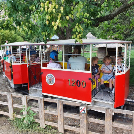 [img-20220715-wa0093.jpeg]