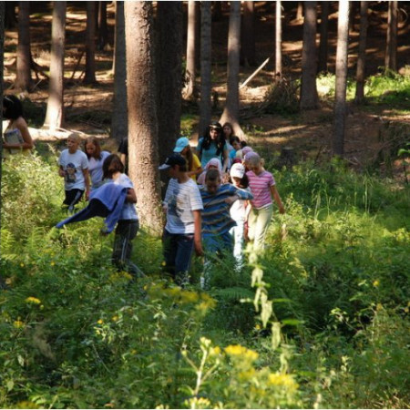 [dsc-0307-resize.jpeg]