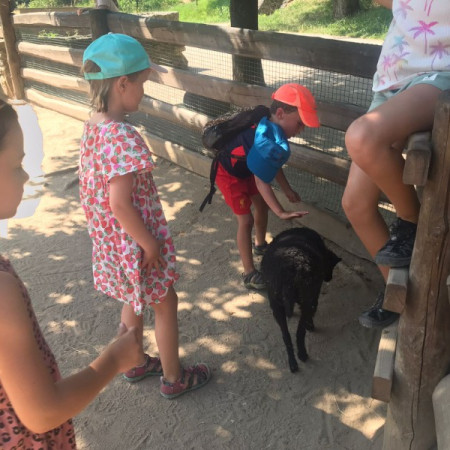 [img-20220720-wa0014.jpeg]