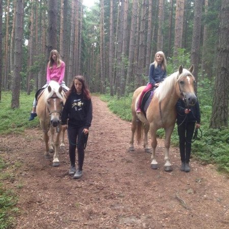 [20813949-10210053144591306-841019480-n.jpeg]