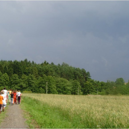 [snv33275-resize.jpeg]