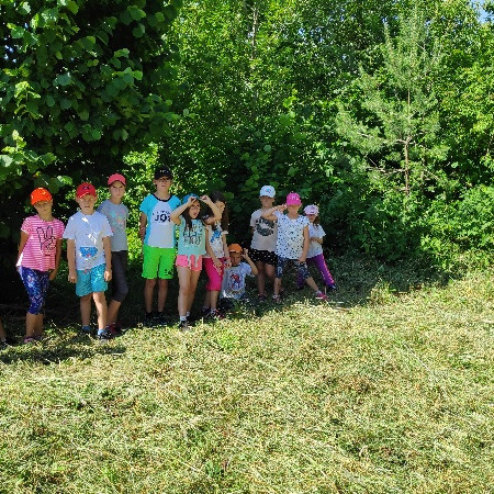 [img-20190706-160315.jpeg]