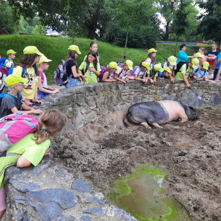 [20210716-150150.jpeg]