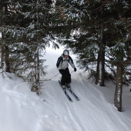 [dsc-0734-resize.jpeg]