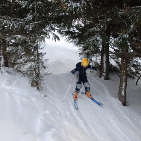 [dsc-0732-resize.jpeg]