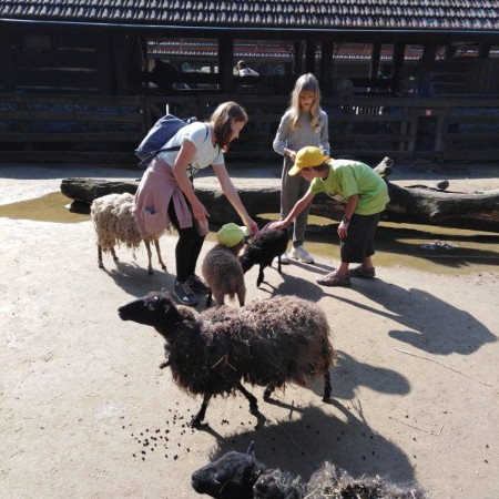 [img-20210807-wa0082.jpeg]