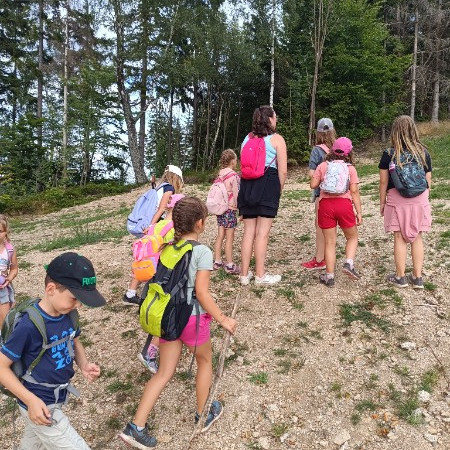 [img-20240725-163303.jpeg]