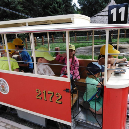 [img-20210807-wa0078.jpeg]